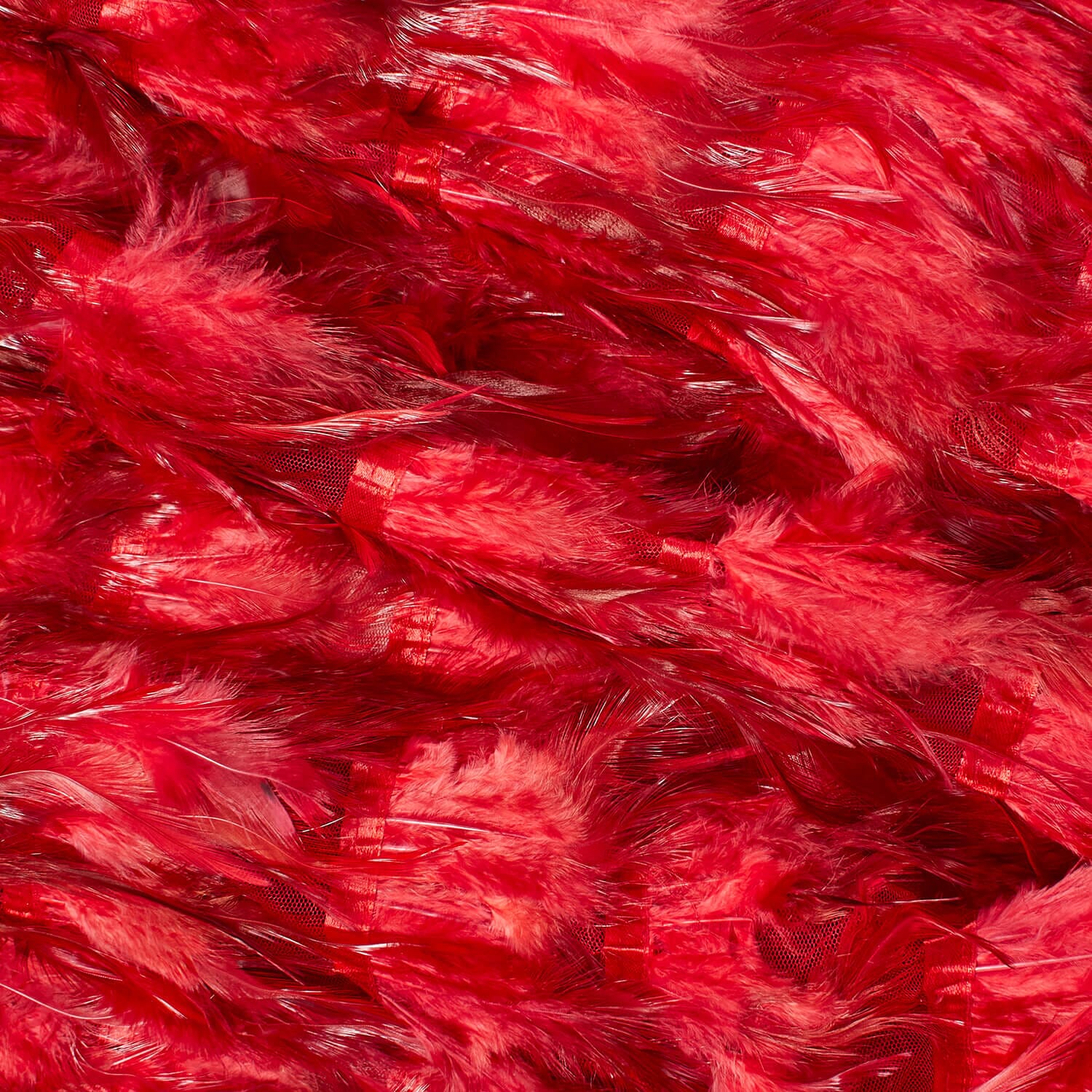 Chicken Feather Trim On Poly Mesh - Image 14