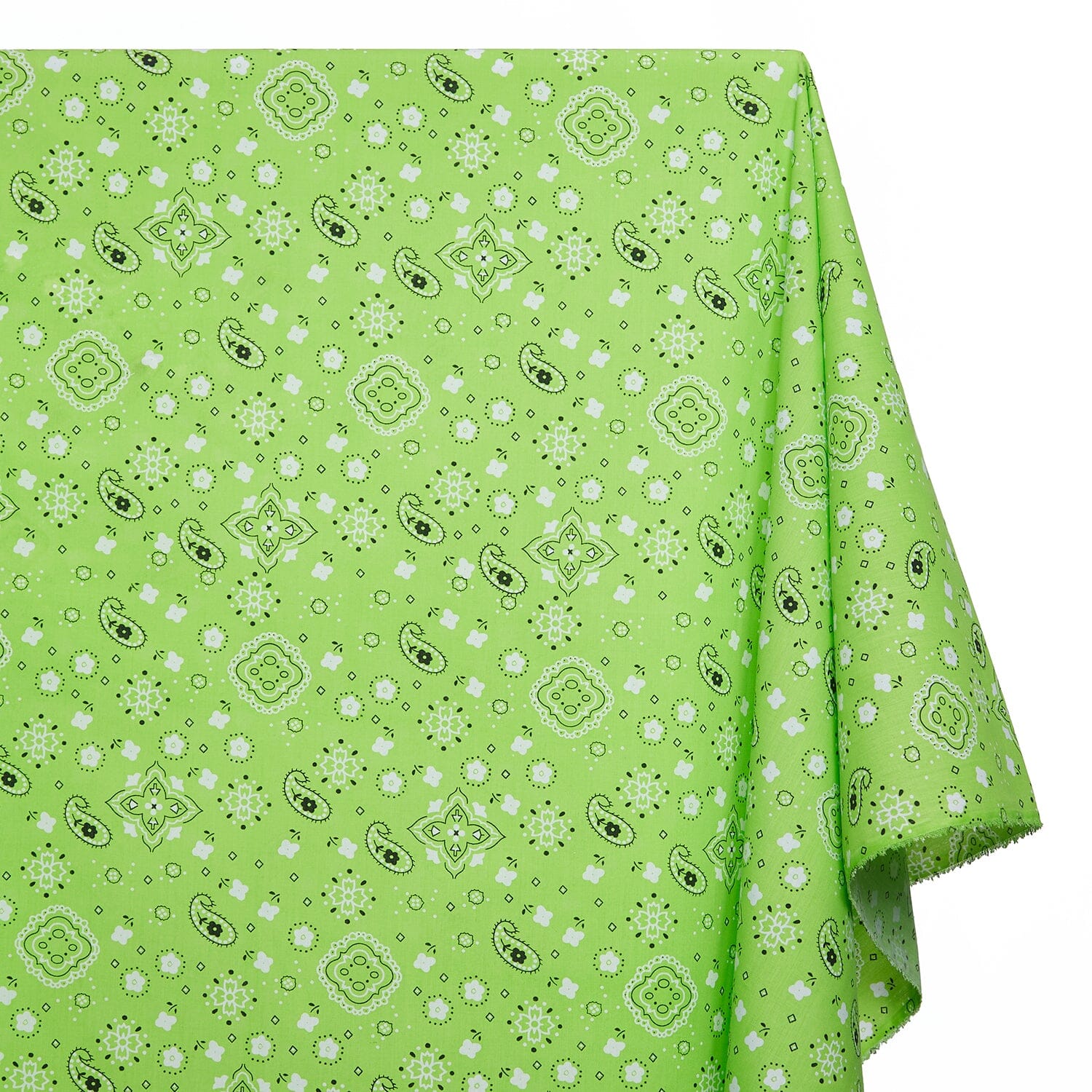 Paisley Print Bandana Broadcloth (60 Inches) - Image 17